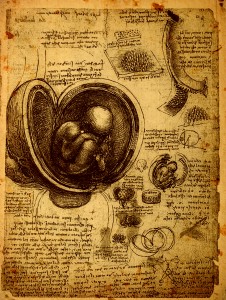 Close up of Old anatomy drawings by Leonardo Da Vinci